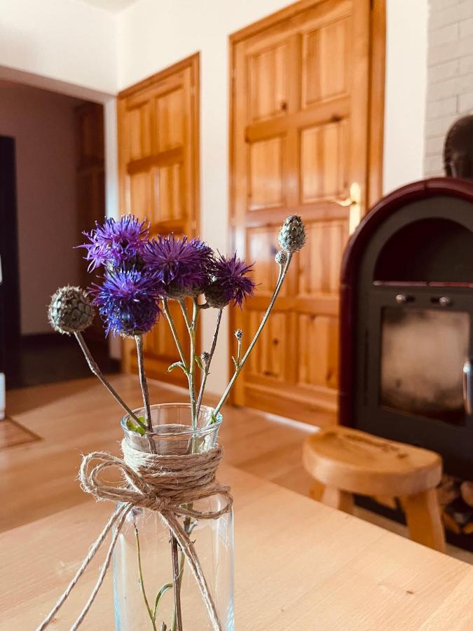 Hill Durmitor Apartamento Žabljak Exterior foto